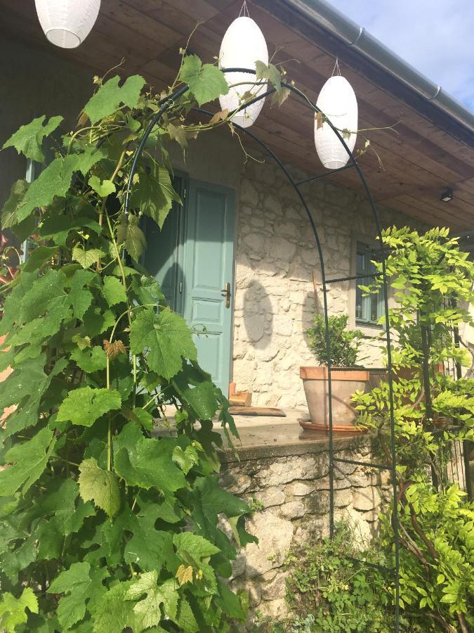 Hungry Grape Guests Hotel Erdobenye Exterior photo